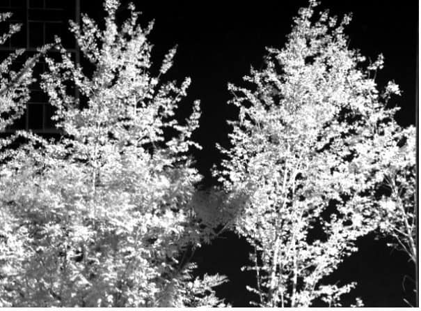 Imaging demonstration